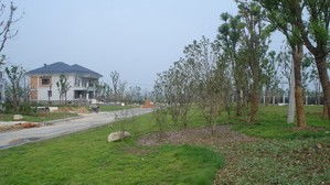 合肥滨湖住宅绿化工程